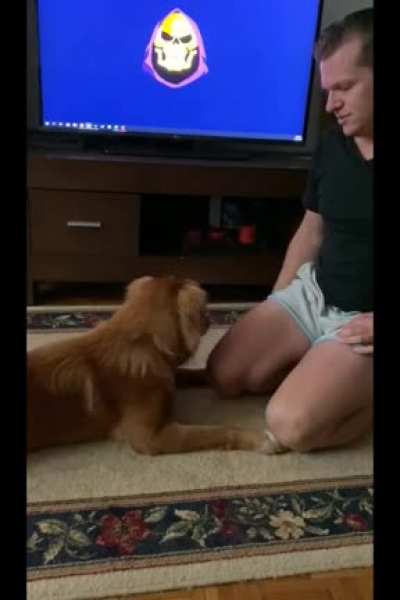 Playing with the new doggo