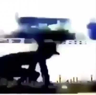 fornite