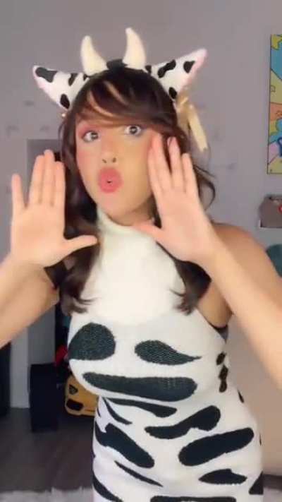 More Moo Moo Dancing