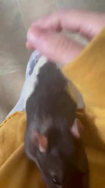 he wants up!