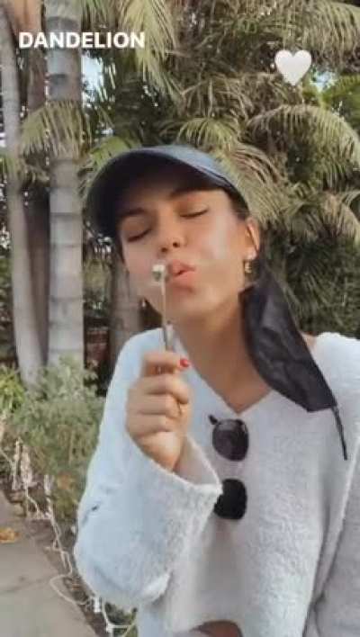 Make a wish