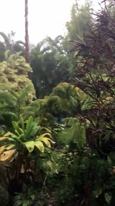 Today in Hawai&rsquo;i