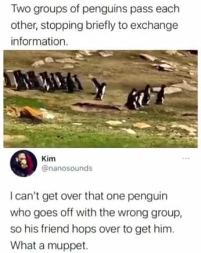 Made my day