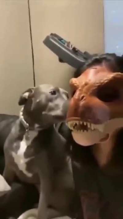 It smells like mommy but doesn&rsquo;t look like her