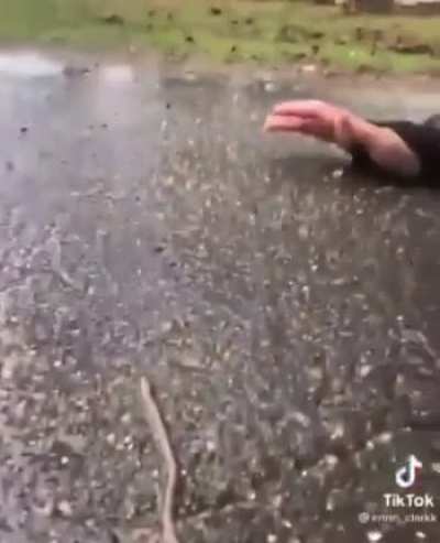 wow.