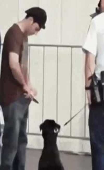 Suspect something ..