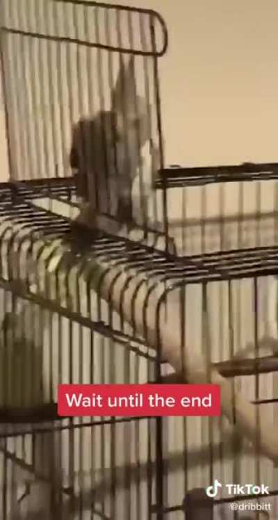 &ldquo;I said don&rsquo;t do it&rdquo;