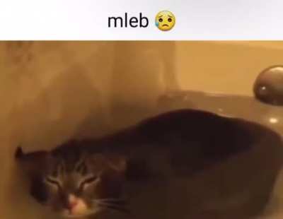 mold