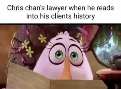 Let’s take a moment of silence for Chris Chan’s lawyer