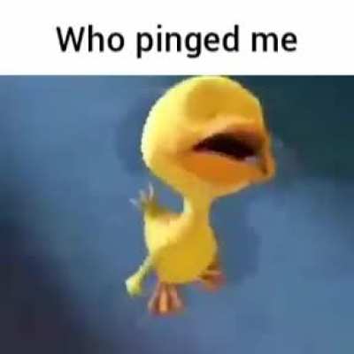 Yes.