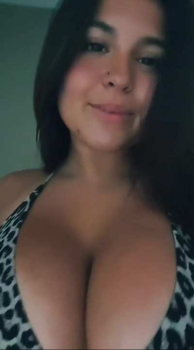🐆🐆