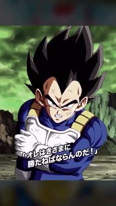 LR Kaioken Blue Goku &amp;amp; Evolution Blue Vegeta Active Skill