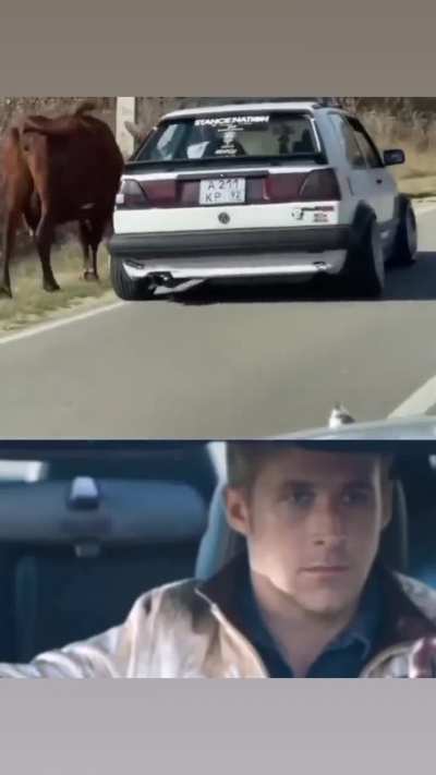 yo