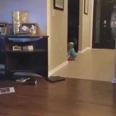 Catch me if you can