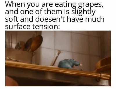 No thank you