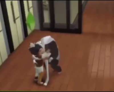 What da dog doin?