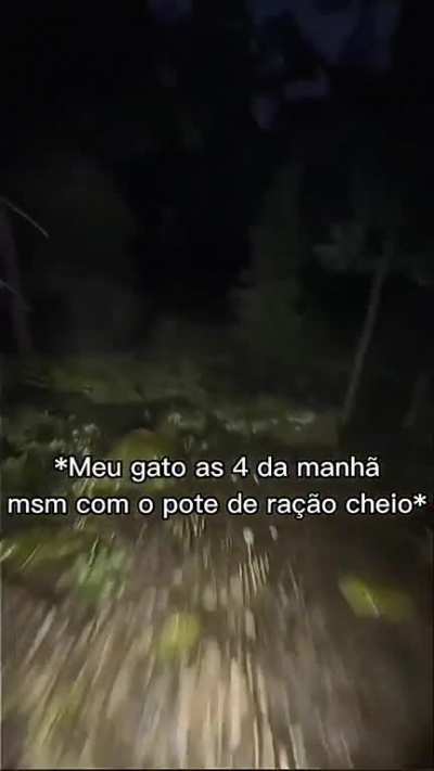 eu🙀nvr