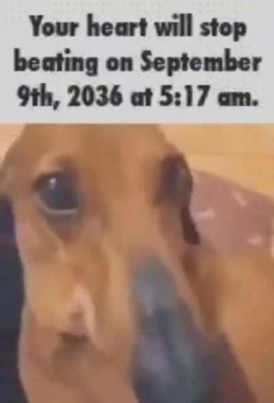 you are warned