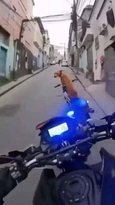 F