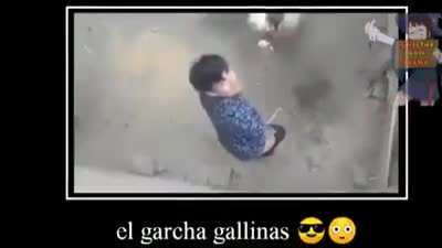 Pillao 🐔🐔🐔🐔
