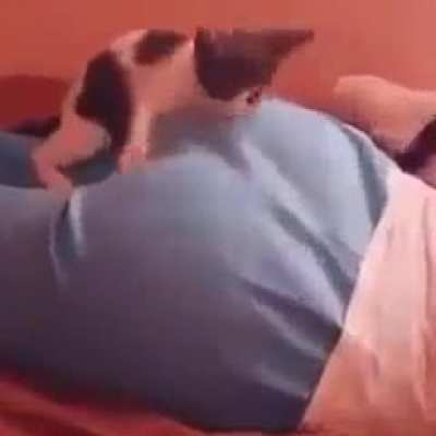 Ahhhahahaha kitty monch the butt