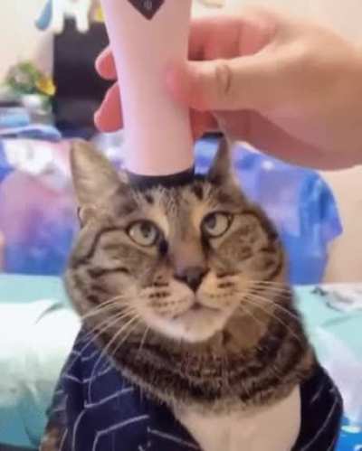 Head Massage