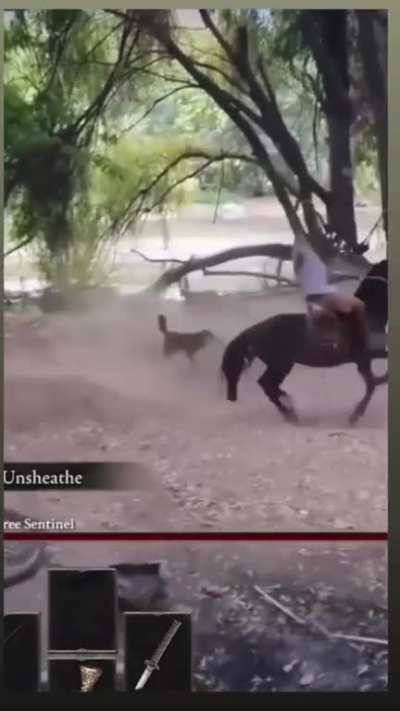 When you start a new campaign and start fighting them looters