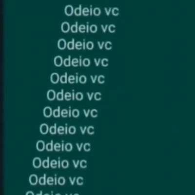 Meus amigos todo dia: