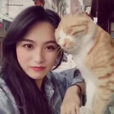 Aggressively friendly cat