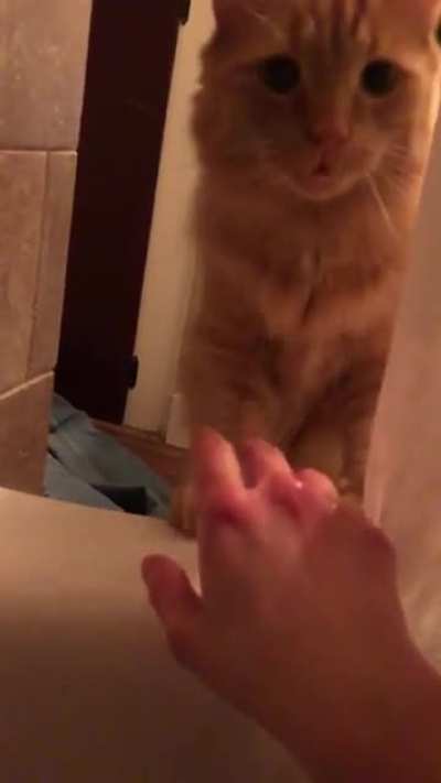I can&rsquo;t tell if he wants to save me or join me