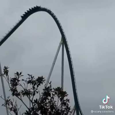 They deaded😭😭😎