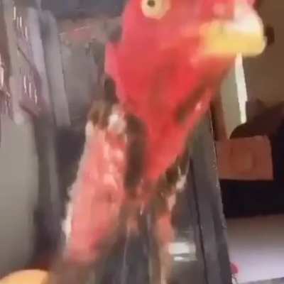 &amp;lt;(￣︶￣)↗