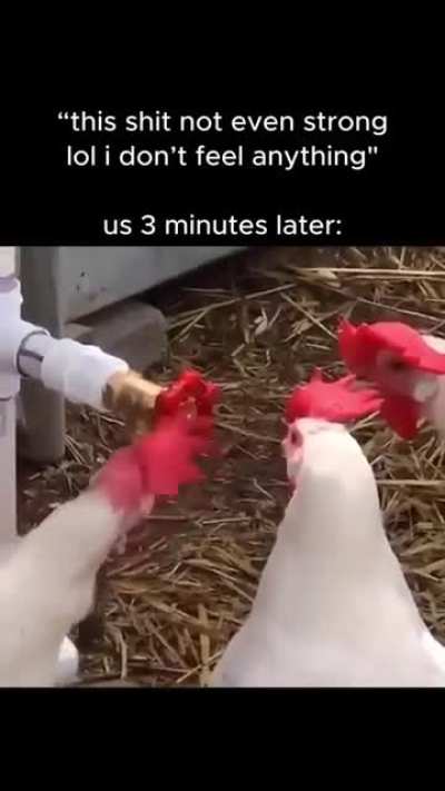 guh