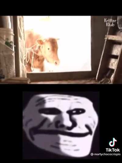 digan les a sus madres que las quieren banda antes de que sea tarde