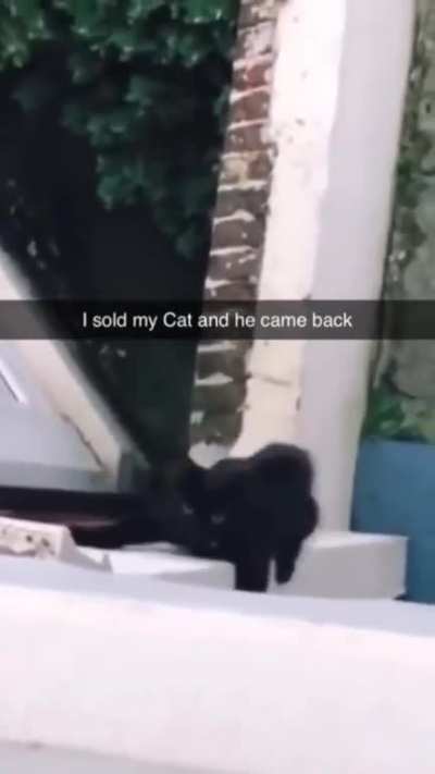 "YOU CAN'T GET RID OF ME, DARLING"