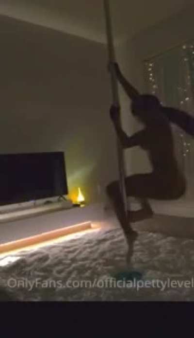 P3ttyl3v3l