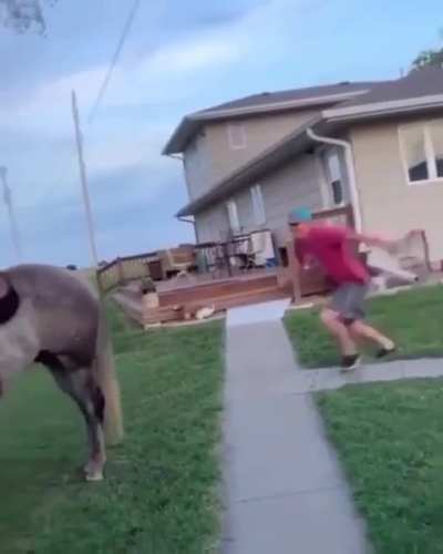 Idiot trys jumping on a horse