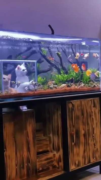 Marine biologists 