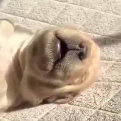Немного милоты