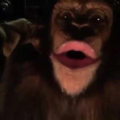 Monke