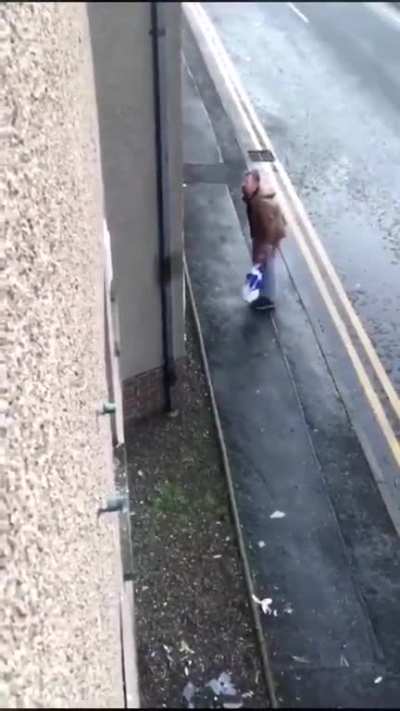 Mon ya bastards