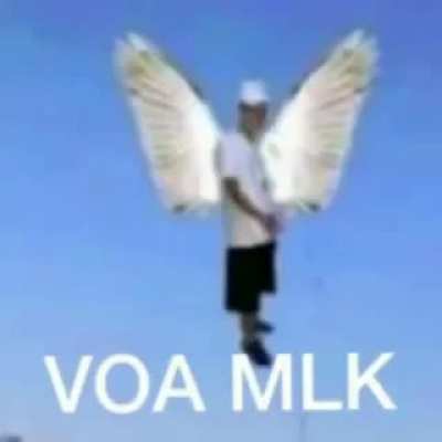 Noia is dead