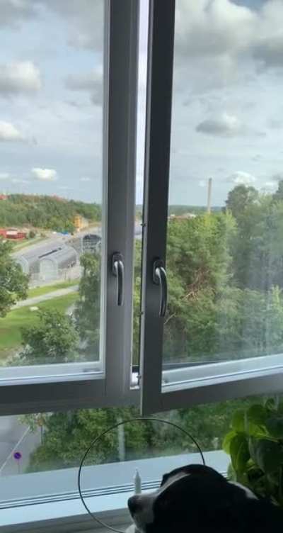 Hesa Fredrik l&aring;ter inte tillr&auml;ckligt mycket! *h&ouml;gt ljud*