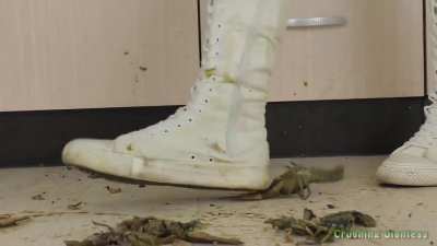 The treads of her converse are the last thing they&rsquo;ll ever see