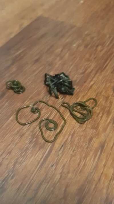 Killed One Spider, Came Back 5 Minutes Later And Found This.