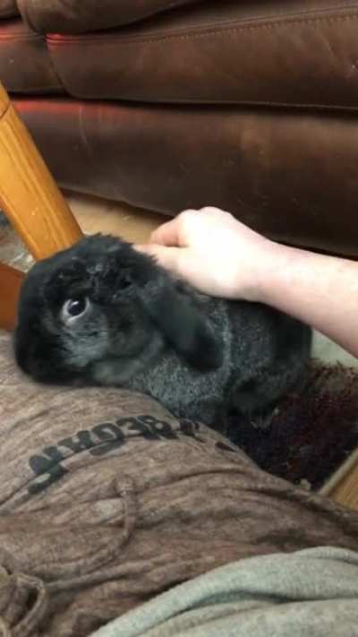 IVE BEEN CHOSEN