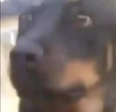 Eu te conhe&ccedil;o nessa porra