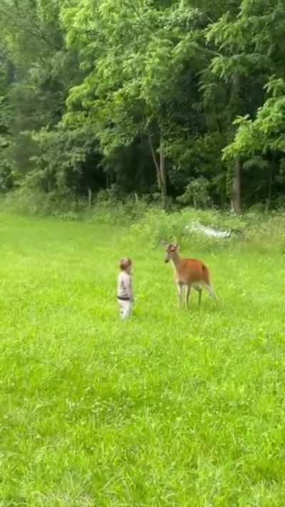 People need to understand that nature is not a Disney movie.