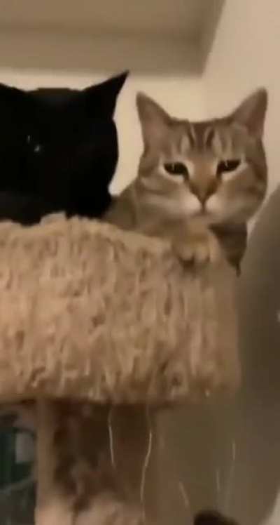Бумс!