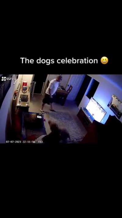This dog celebrating the England goal